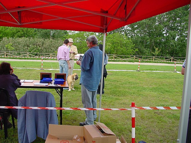 Immagine 012.jpg